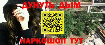 гидра Михайловка