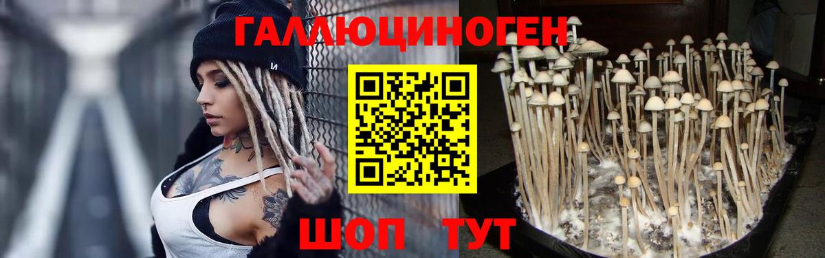 Белая Калитва  Псилоцибиновые грибы мухоморы  Вход с VPN 